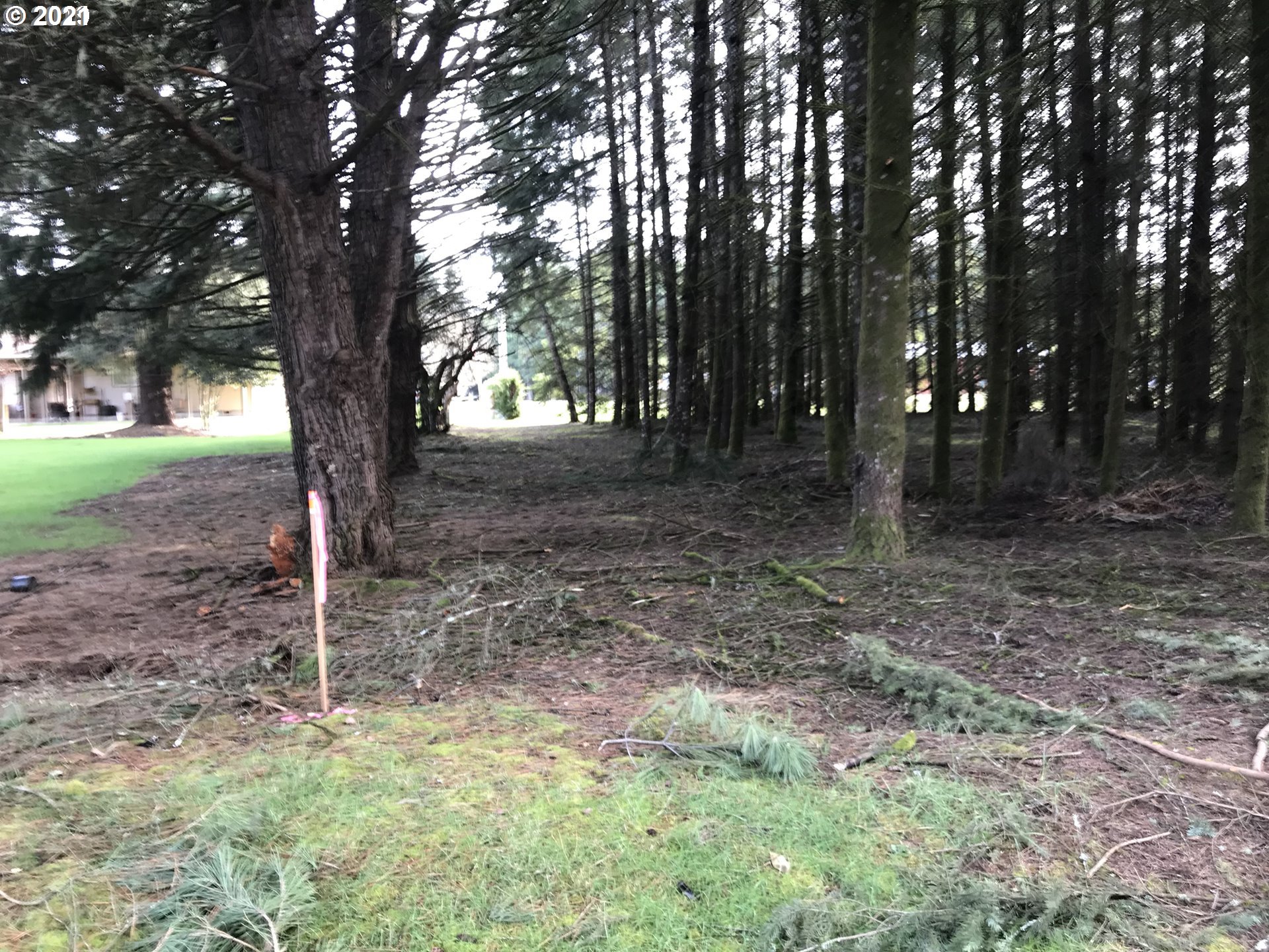 Orchard Tract Road Monroe, OR 97456 - Photo 3 of 7 Gallery Image 3