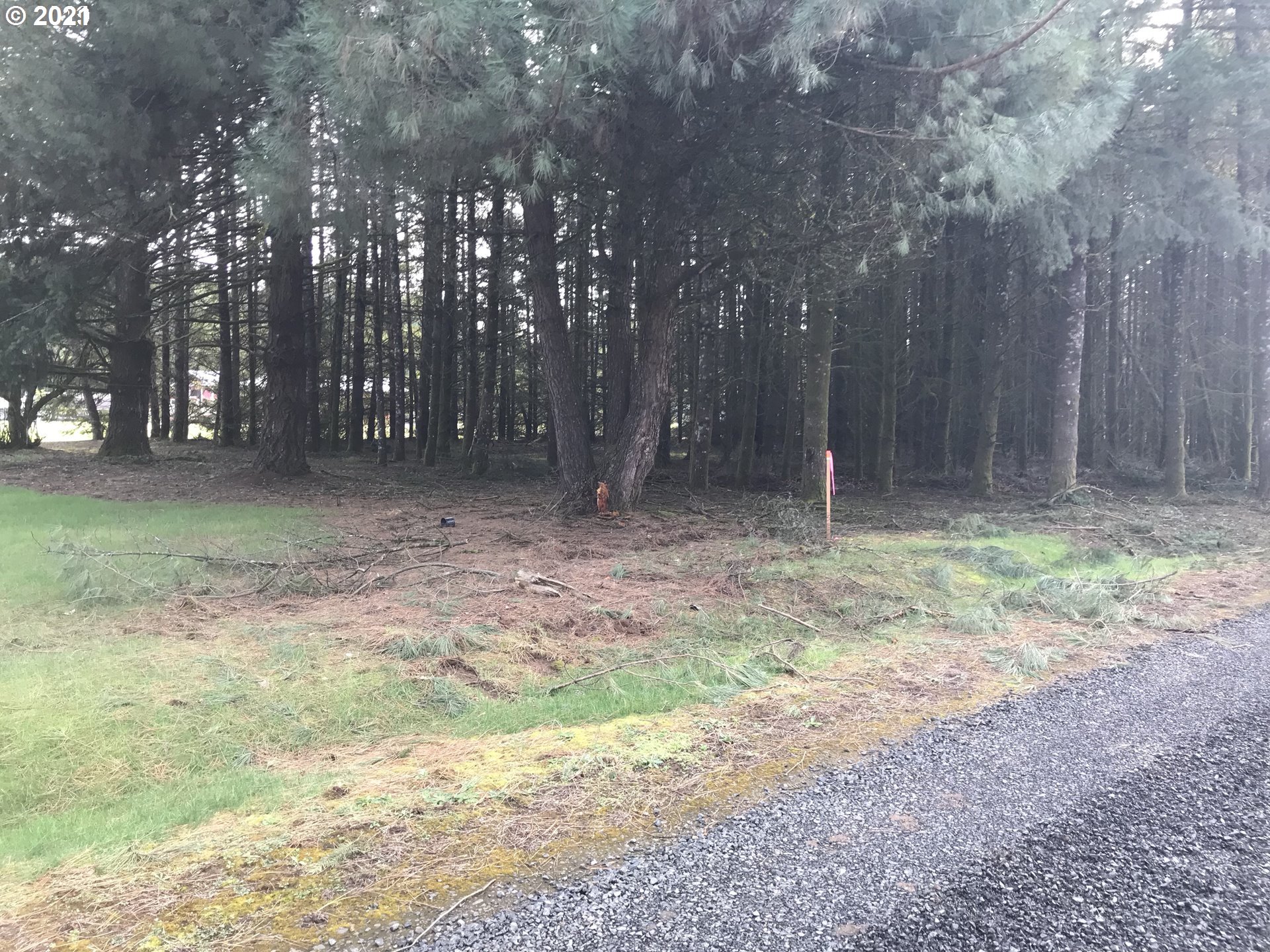 Orchard Tract Road Monroe, OR 97456 - Photo 4 of 7 Gallery Image 4