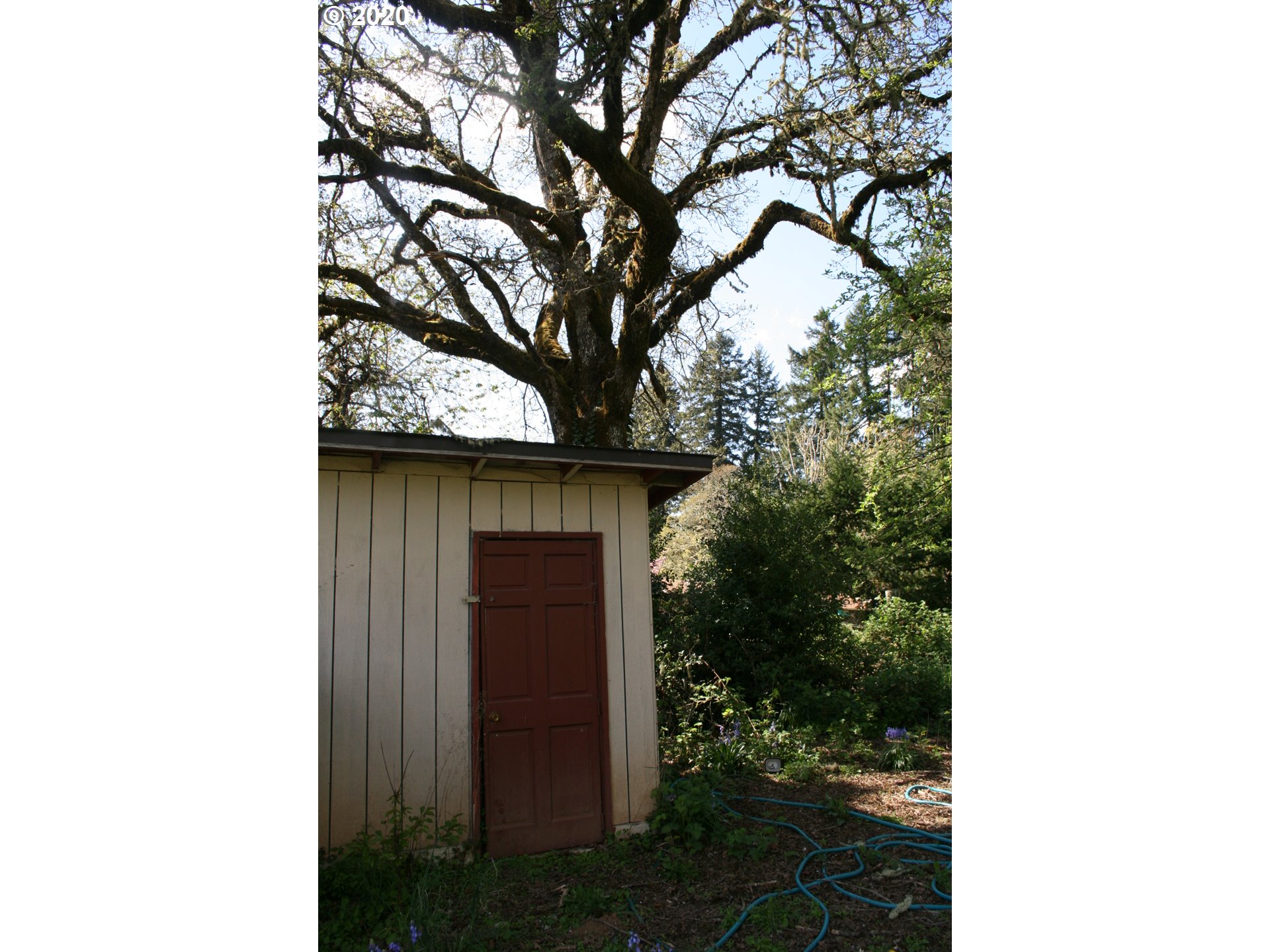 22541 Fir Street Noti, OR 97461 - Photo 14 of 29 Gallery Image 14