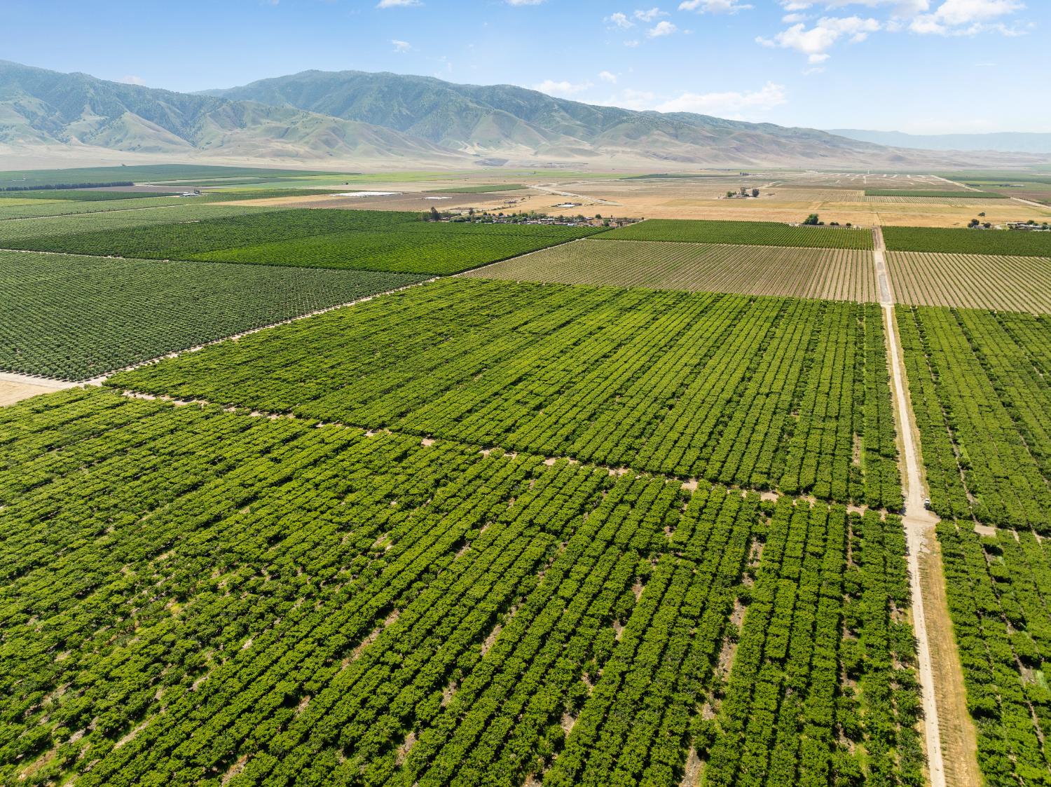 0 Rock Pile Road Arvin, CA 93203 - Photo 2 of 26 a view of an ocean from a yard