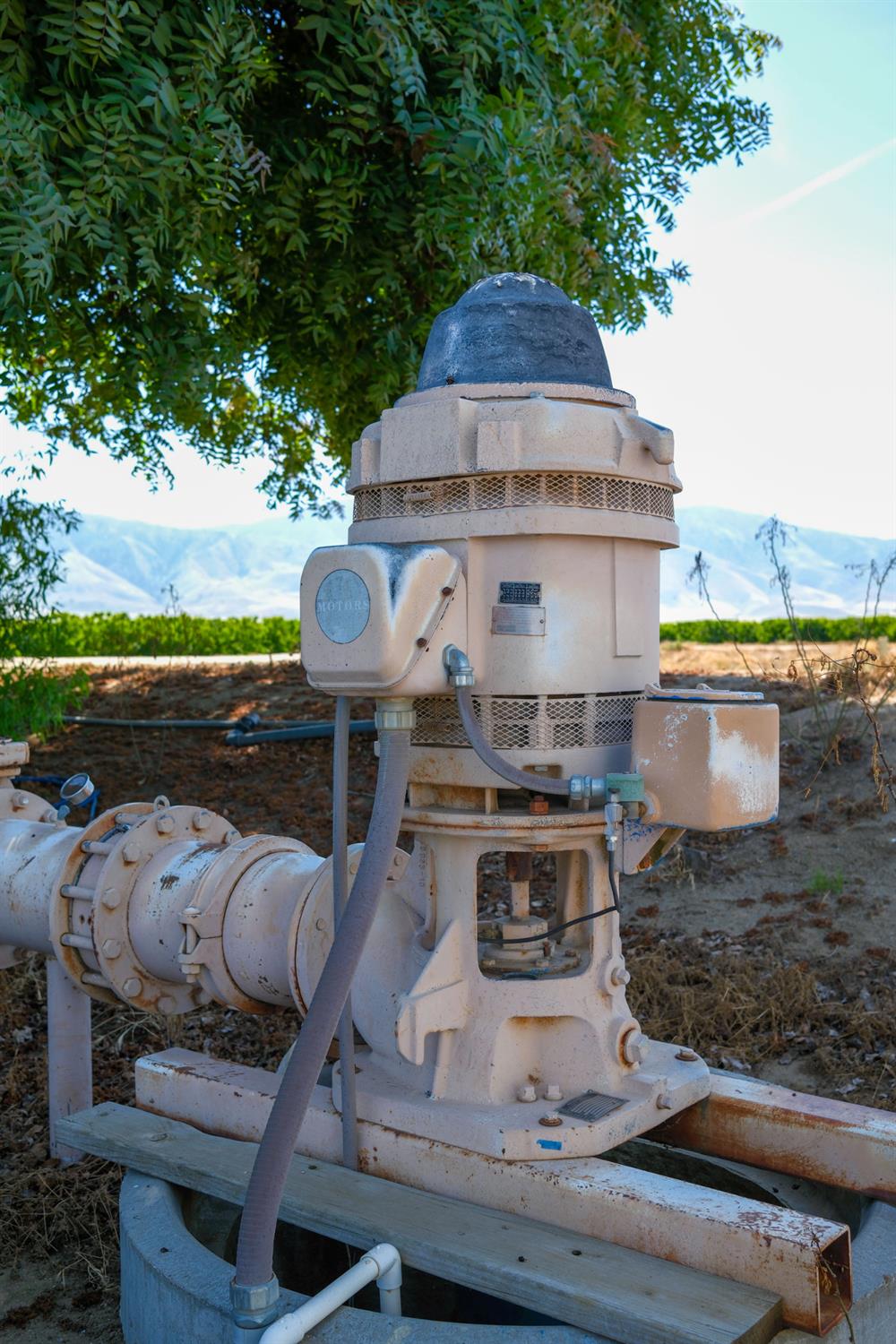 0 Rock Pile Road Arvin, CA 93203 - Photo 21 of 26 a front view of house with yard swimming pool and outdoor seating