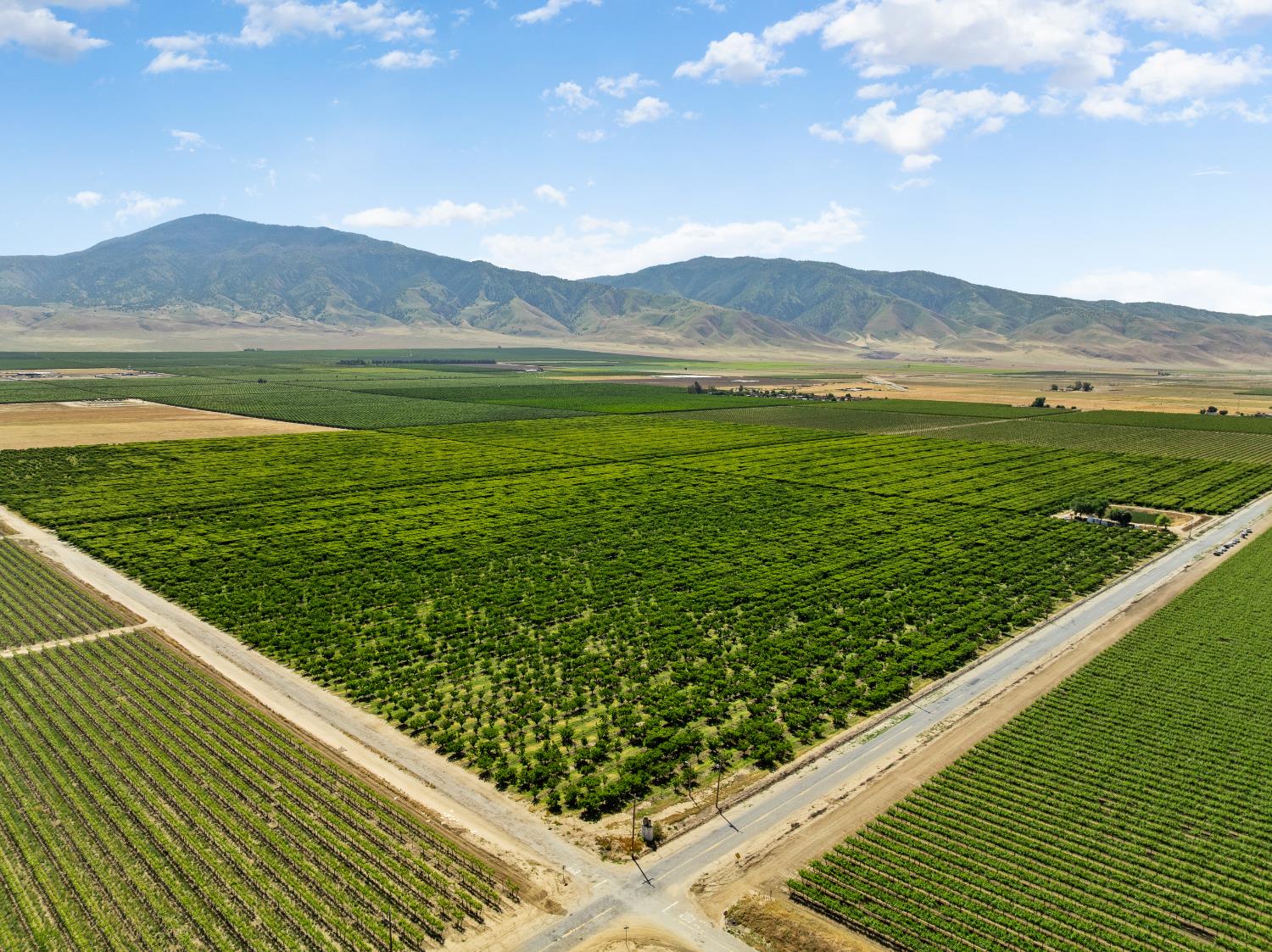 0 Rock Pile Road Arvin, CA 93203 - Photo 23 of 26 a view of a mountain from a yard