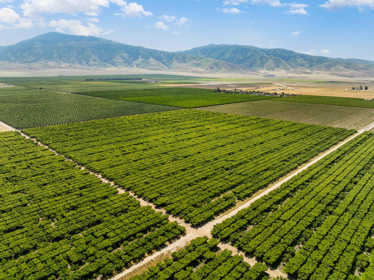 0 Rock Pile Road Arvin, CA 93203 - Photo 3 of 26 a view of a field with an ocean beach