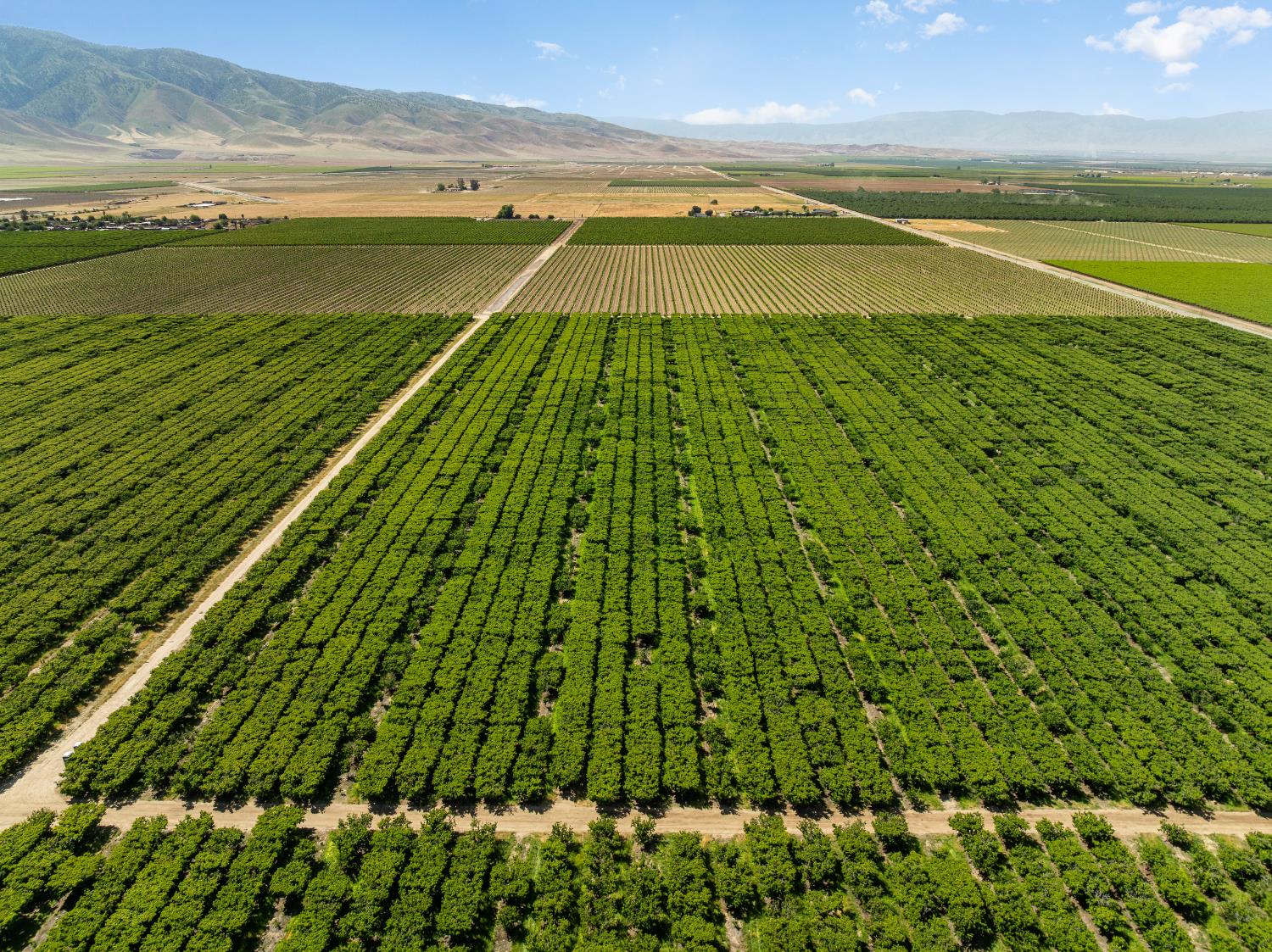 0 Rock Pile Road Arvin, CA 93203 - Photo 4 of 26 a view of an ocean and beach