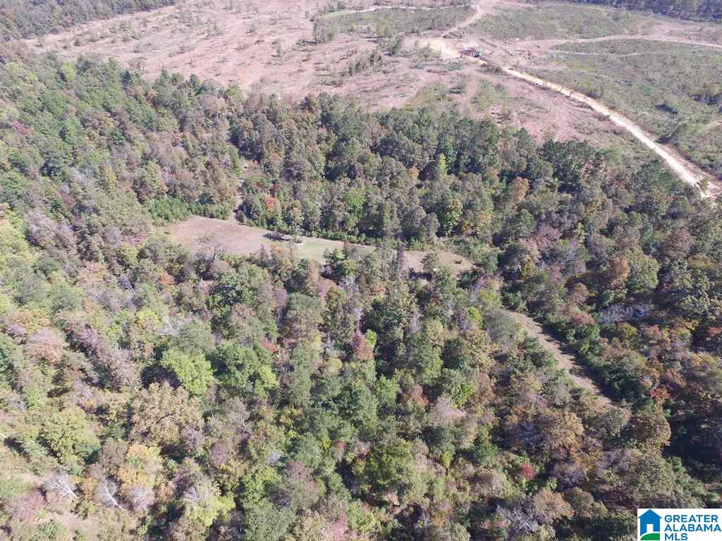 Sprayberry Road, Unit 103 Cropwell, AL 35054 - Photo 15 of 48