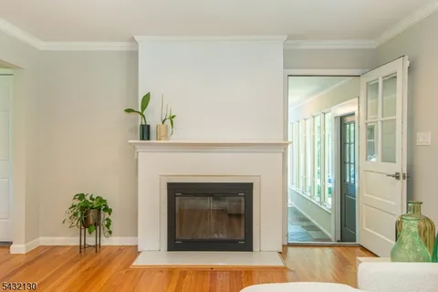 a living room with a fireplace and potted plant