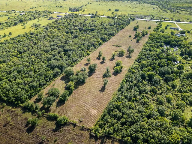 a view of a garden with a plant