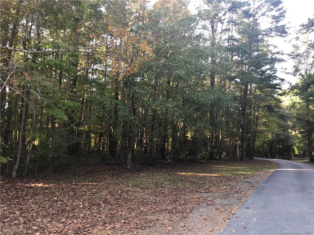 0 Matthews-Mint Hill Road Mint Hill, NC 28227 - Photo 3 of 3