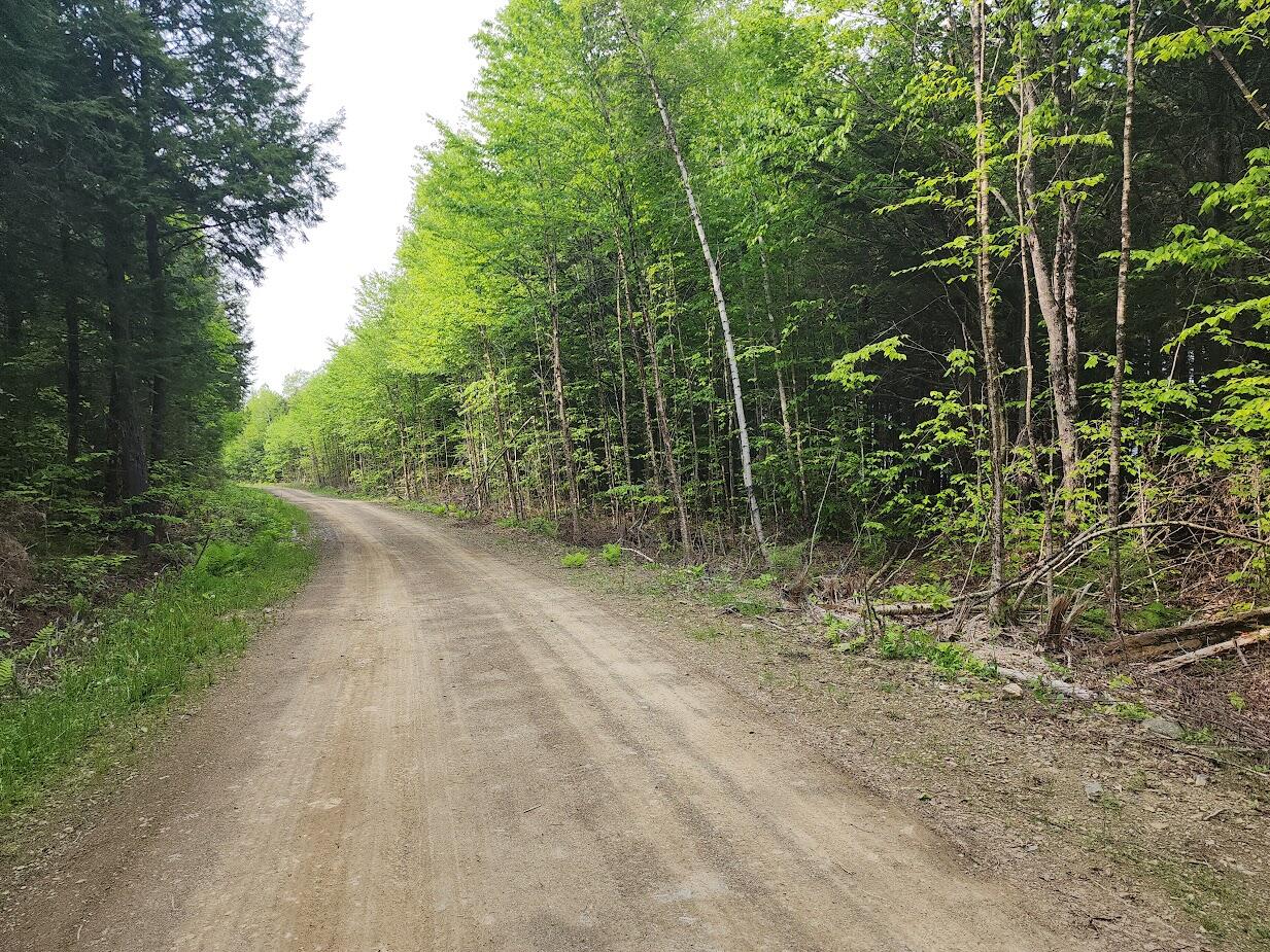 T2 R4 West Wytopitlock Lake Road Wytopitlock, ME 04497 - Photo 3 of 9 20250604_154351