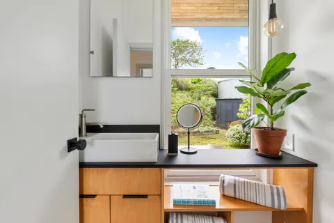 a potted plant sitting on top of a shelf
