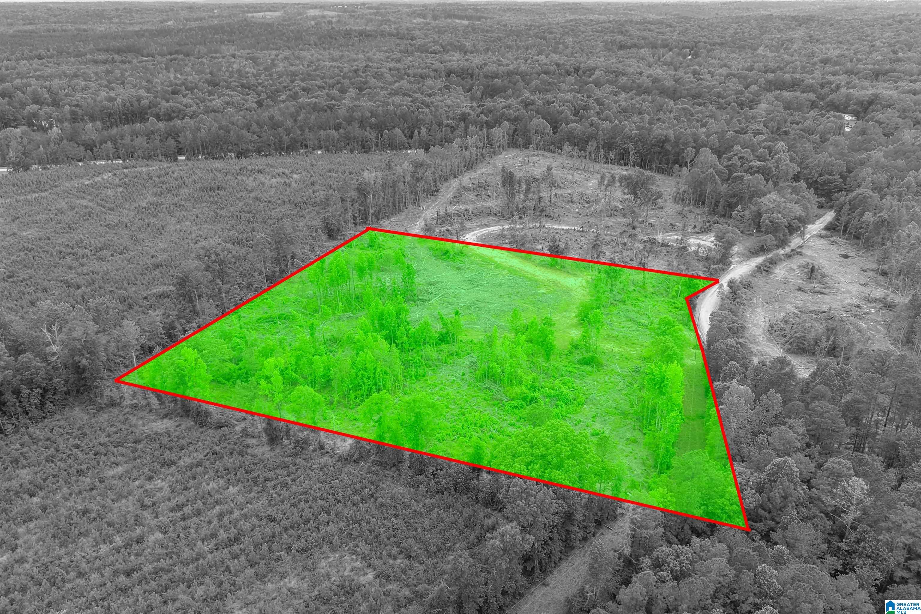 Active Road, Unit 5 Lawley, AL 36793 - Photo 1 of 38