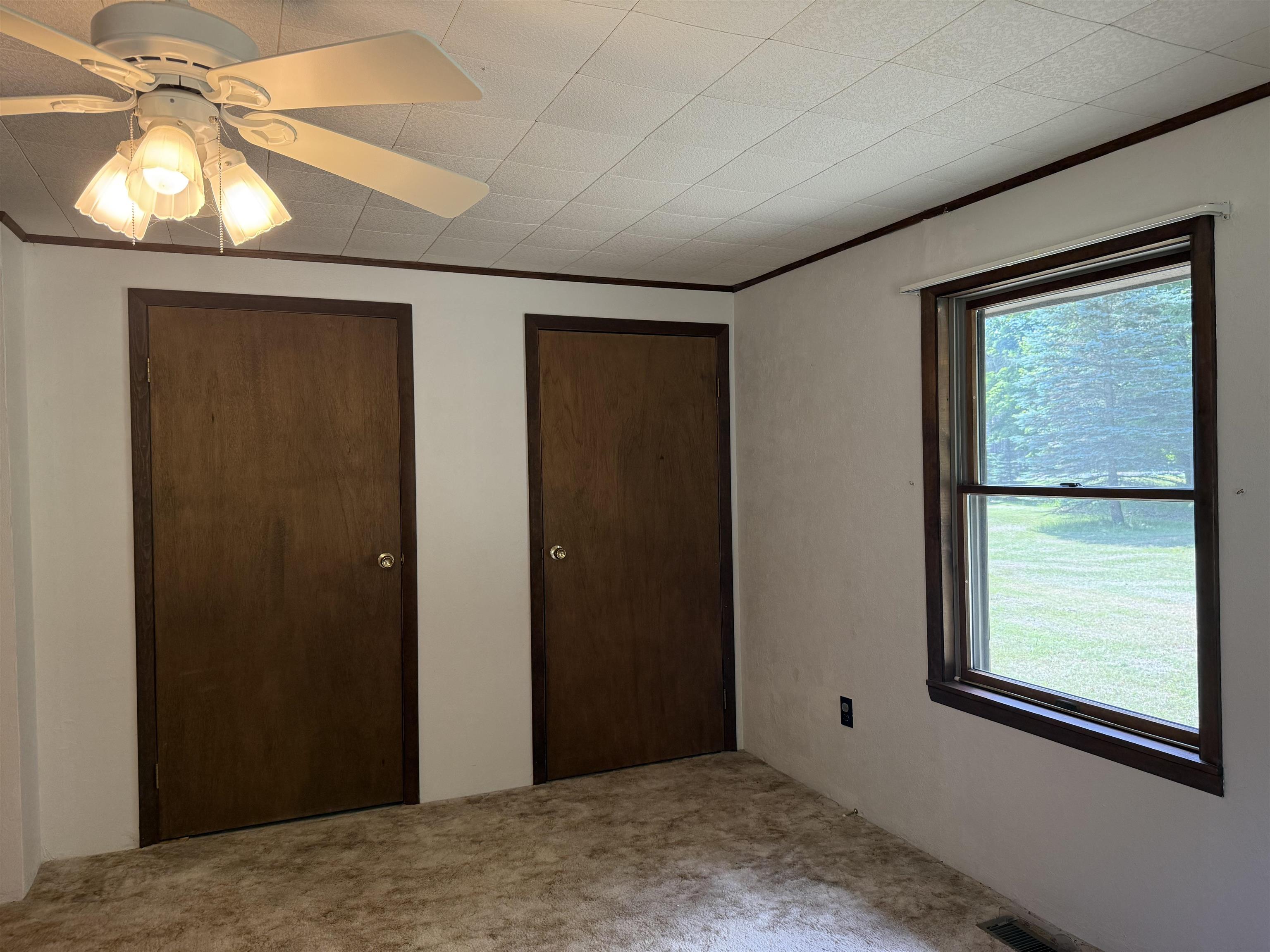 3910 South Vandermeulen Road McBain, MI 49657 - Photo 29 of 43