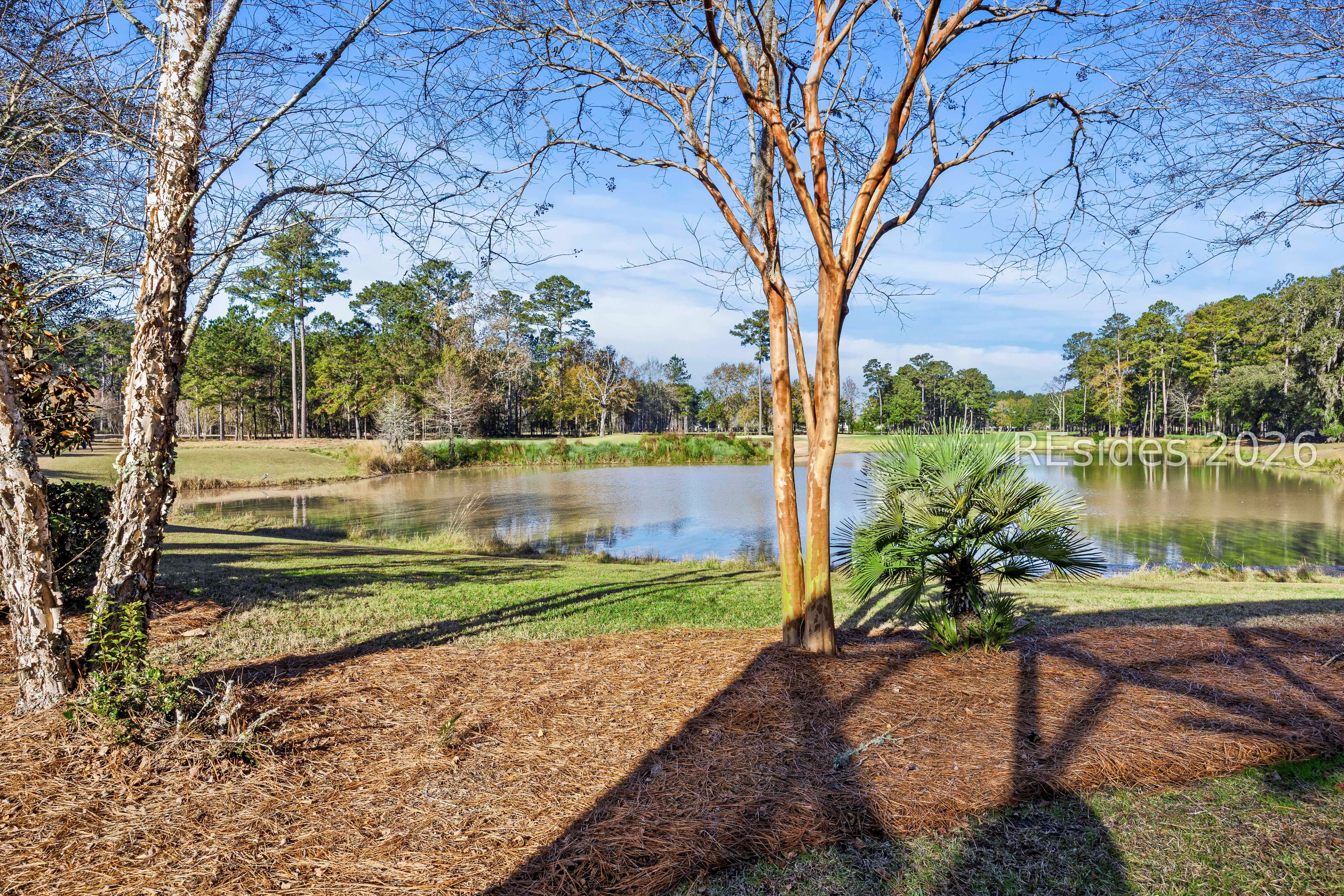 108 Persimmon Circle Hardeeville, SC 29927 - Photo 5 of 41