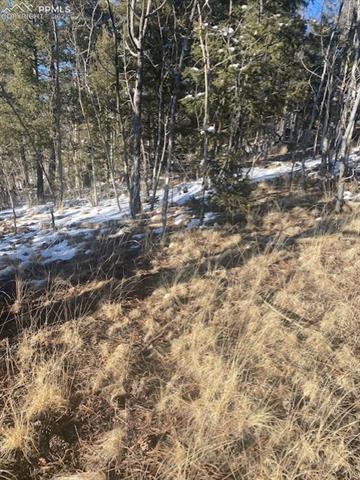 585 Princess Road Cripple Creek, CO 80813 - Photo 4 of 9 Gallery Image 4