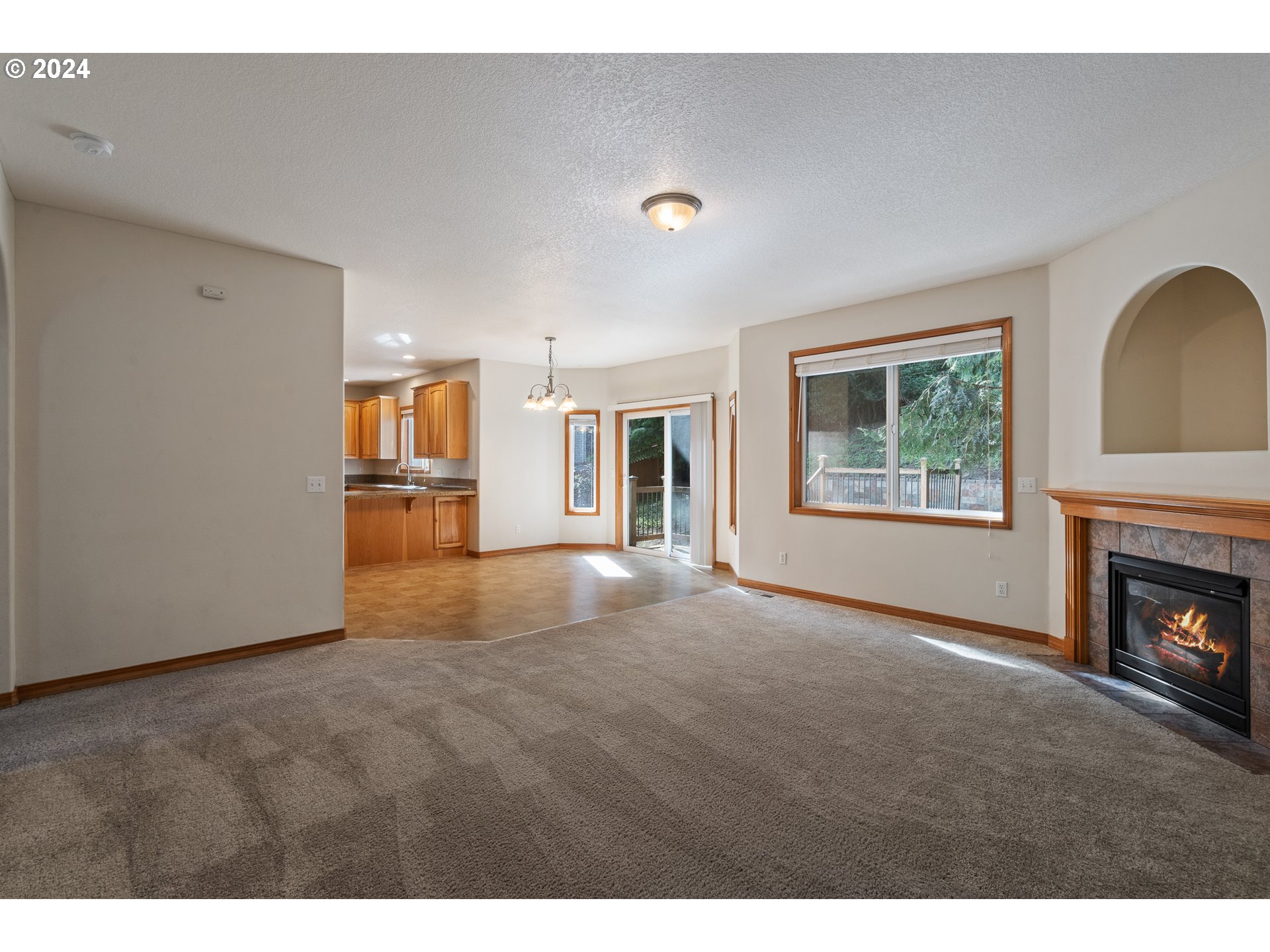8009 Northeast 16th Street Vancouver, WA 98664 - Photo 20 of 46 a view of empty room with a fireplace