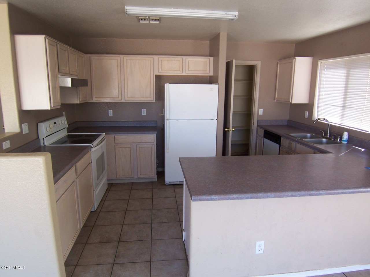 12726 West Redfield Road El Mirage, AZ 85335 - Photo 3 of 19 Kitchen