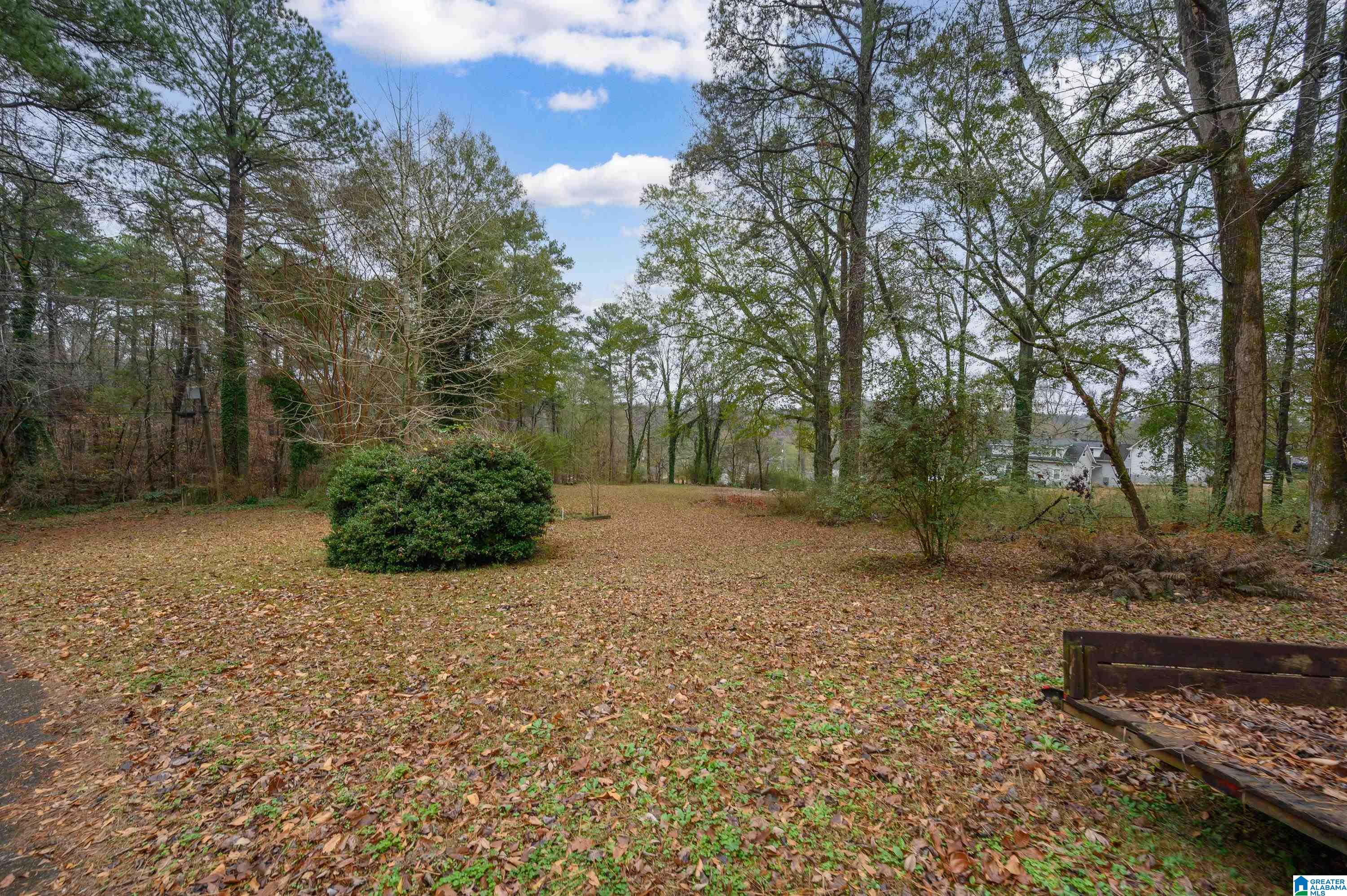 4792 Trussville Clay Road Trussville, AL 35173 - Photo 55 of 56