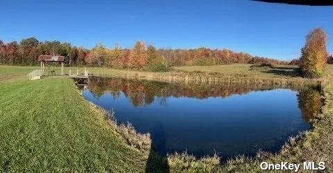 $359,999 | 33-39 Simcoe Hill Road, Lockwood, NY 14859