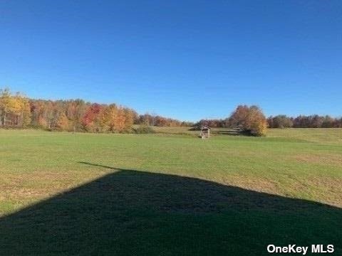 33-39 Simcoe Hill Road Lockwood, NY 14859 - Photo 29 of 29