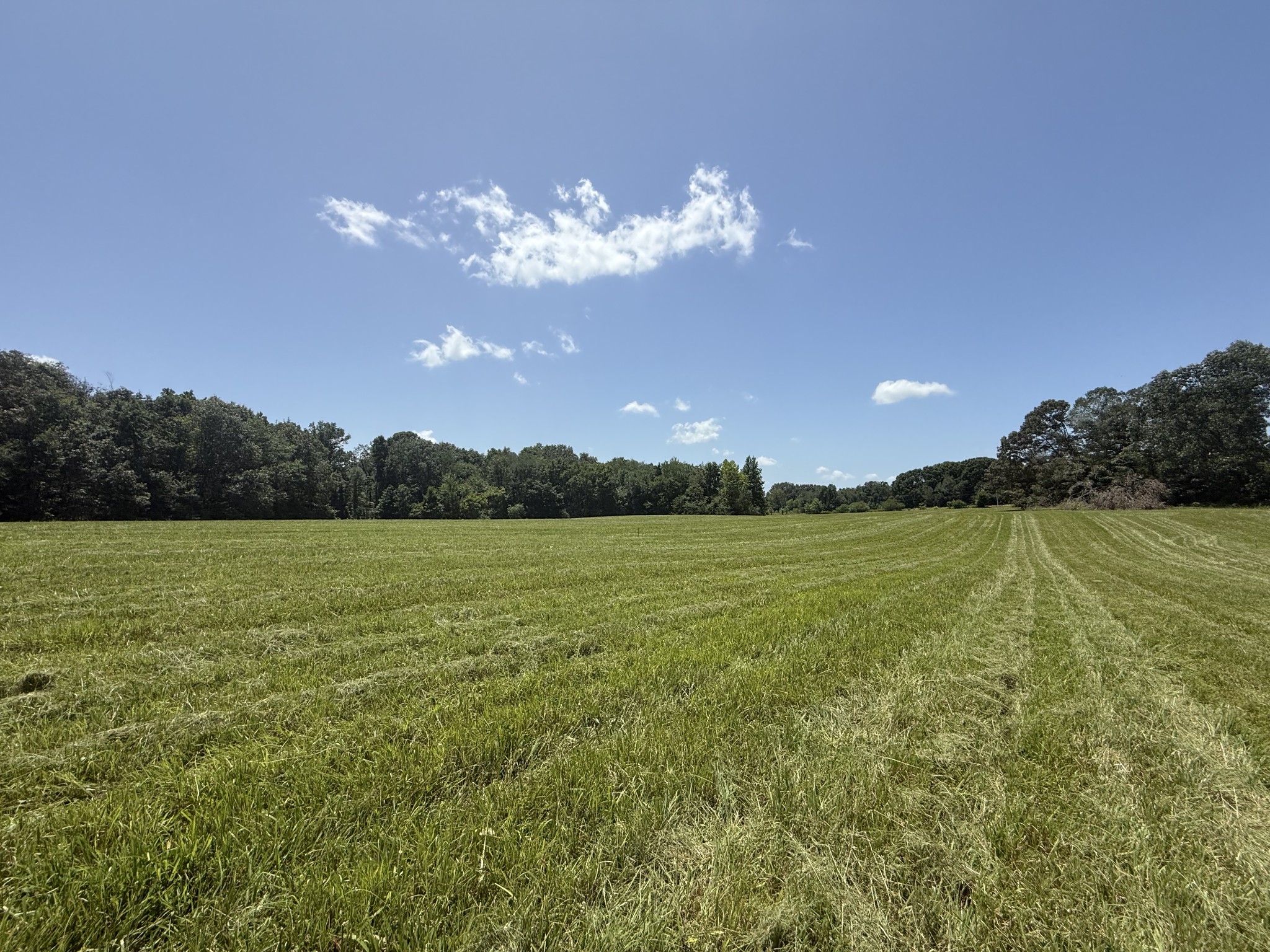 1 Pace Road Clarksville, TN 37043 - Photo 11 of 12 a view of a lake and mountain in the back