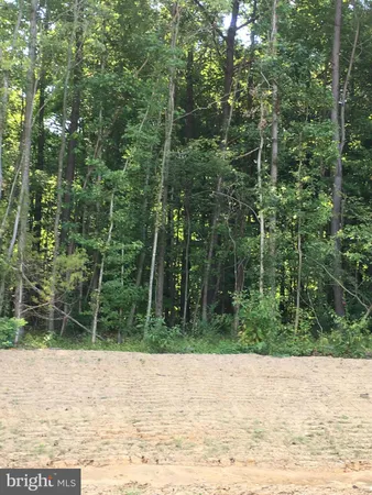 a backyard of a house with large trees