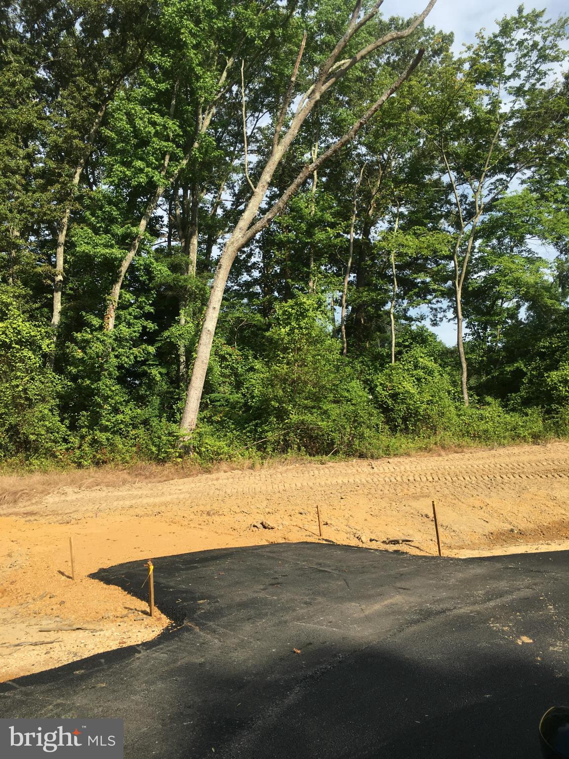 7351 Spring Hill Court La Plata, MD 20646 - Photo 11 of 15 a view of a road from a yard