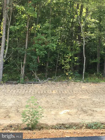 a view of backyard with green space