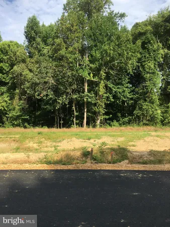 a view of a swimming pool with a yard