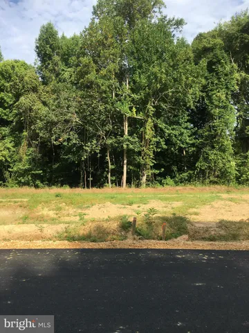 a view of a swimming pool with a yard