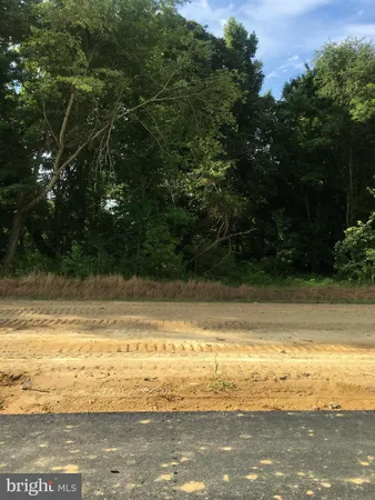 a view of a road from a yard