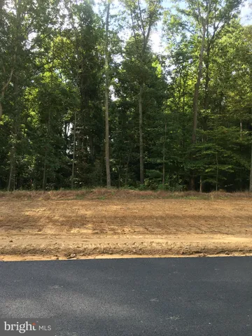 a view of an ocean beach