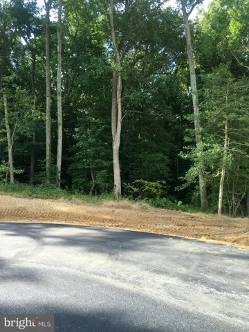 a view of a swimming pool with an outdoor space