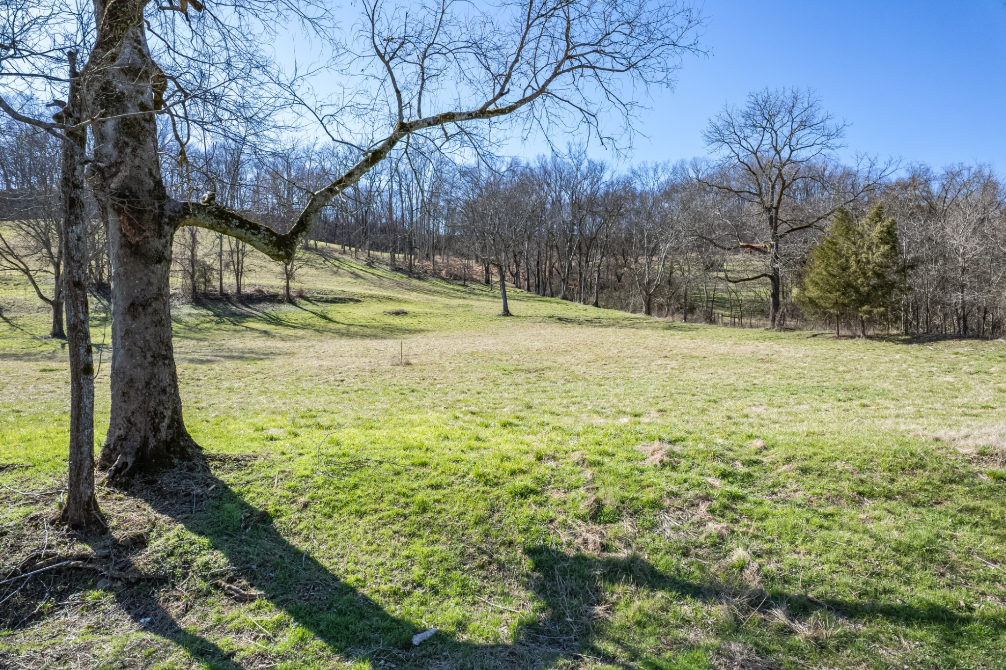 11 Gaskill Branch Road Santa Fe, TN 38482 - Photo 12 of 88