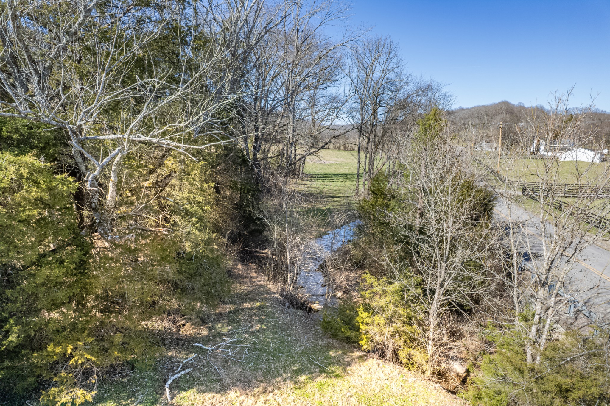 11 Gaskill Branch Road Santa Fe, TN 38482 - Photo 13 of 88