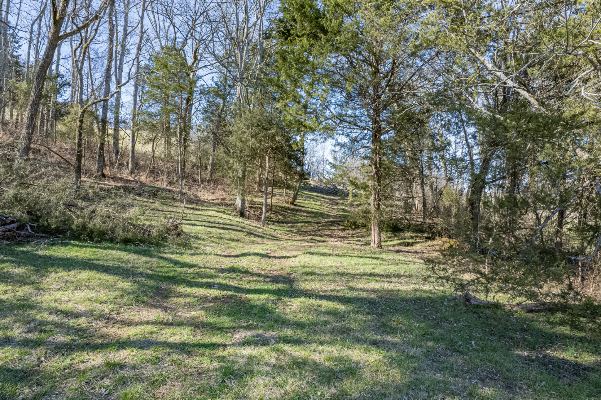 11 Gaskill Branch Road Santa Fe, TN 38482 - Photo 14 of 88
