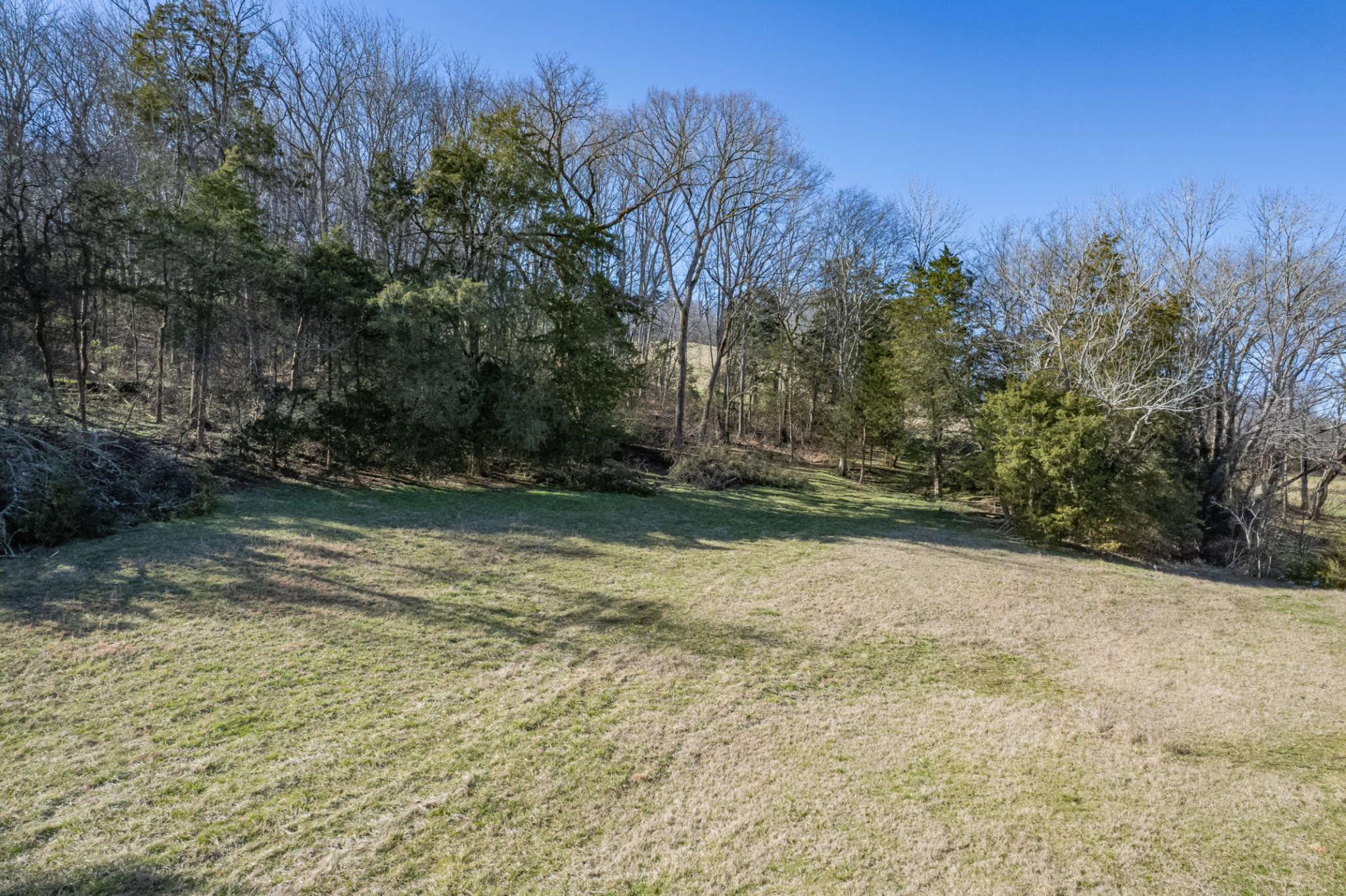 11 Gaskill Branch Road Santa Fe, TN 38482 - Photo 15 of 88