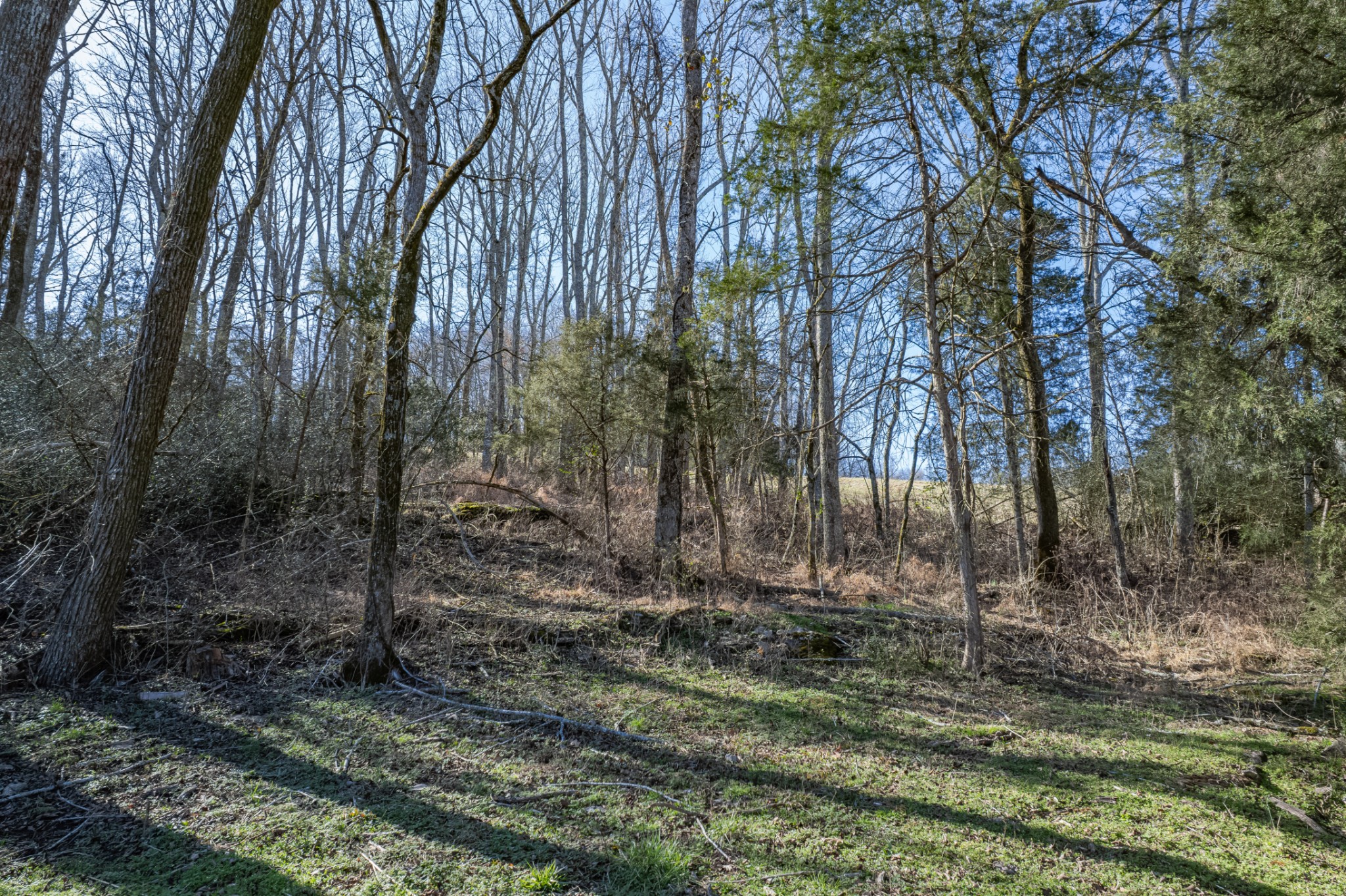 11 Gaskill Branch Road Santa Fe, TN 38482 - Photo 16 of 88