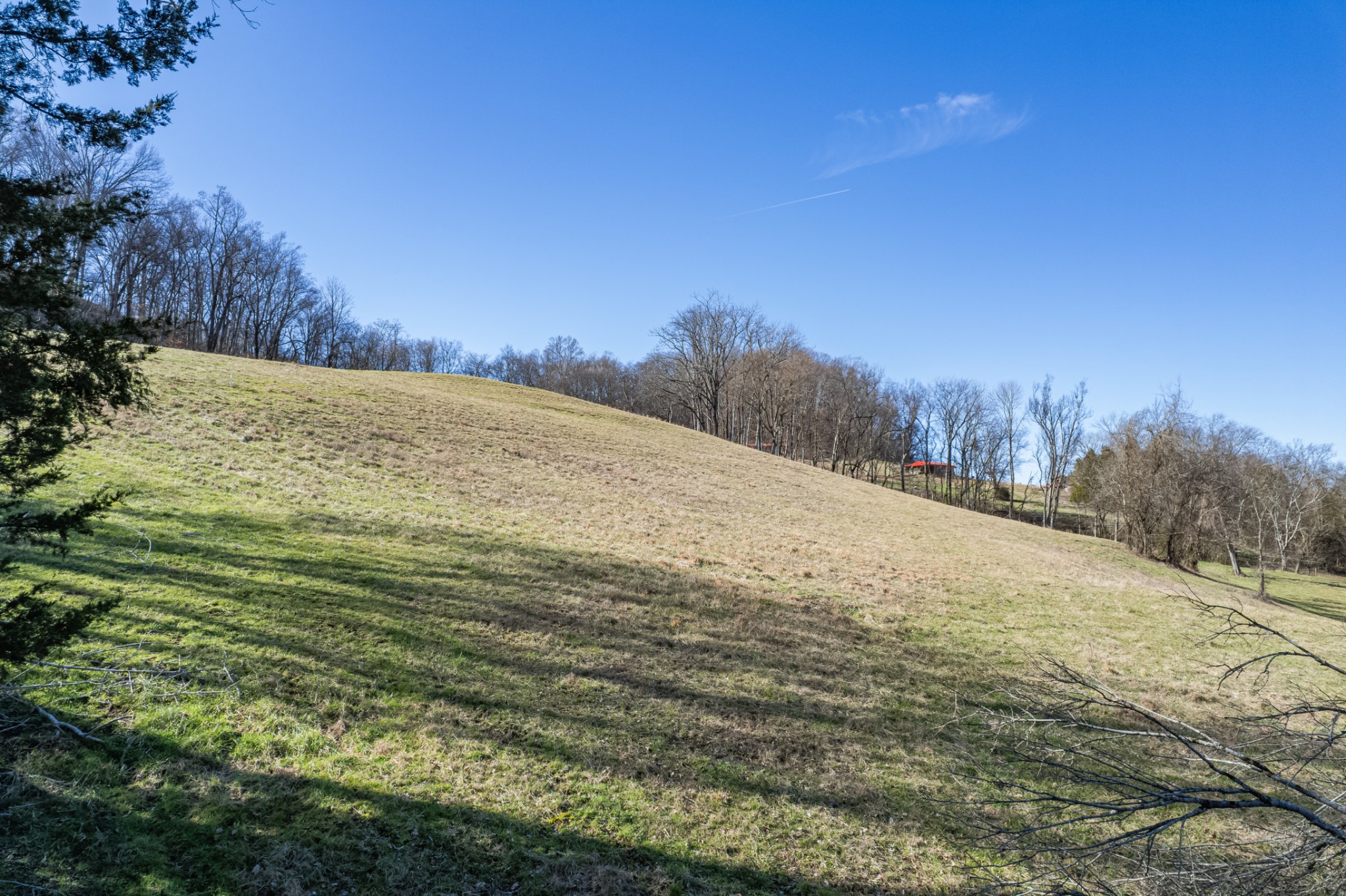 11 Gaskill Branch Road Santa Fe, TN 38482 - Photo 17 of 88