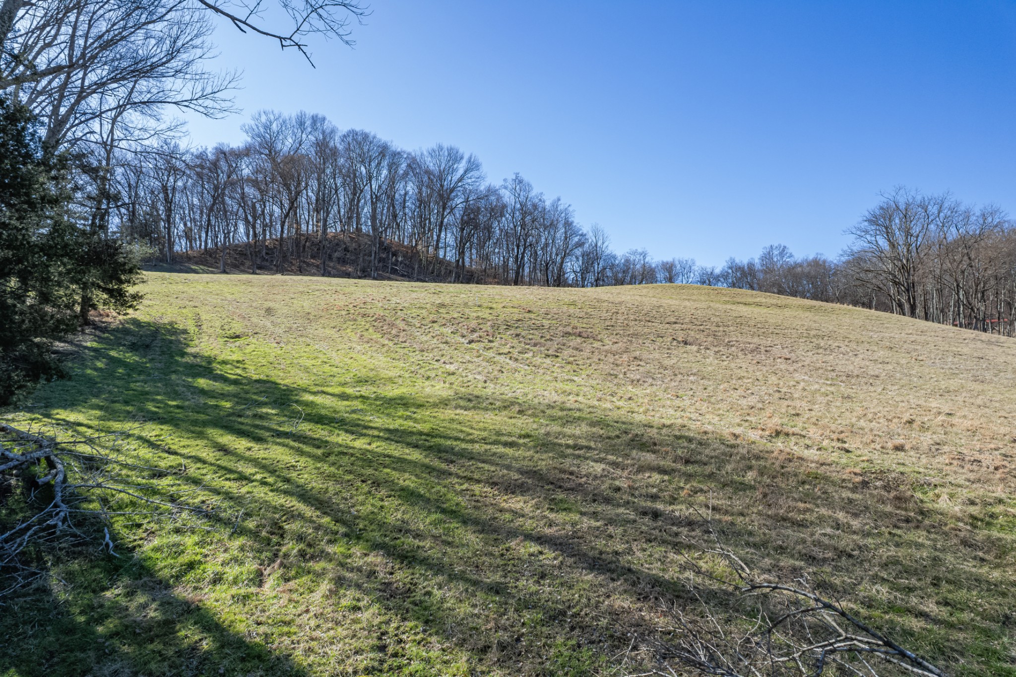 11 Gaskill Branch Road Santa Fe, TN 38482 - Photo 18 of 88