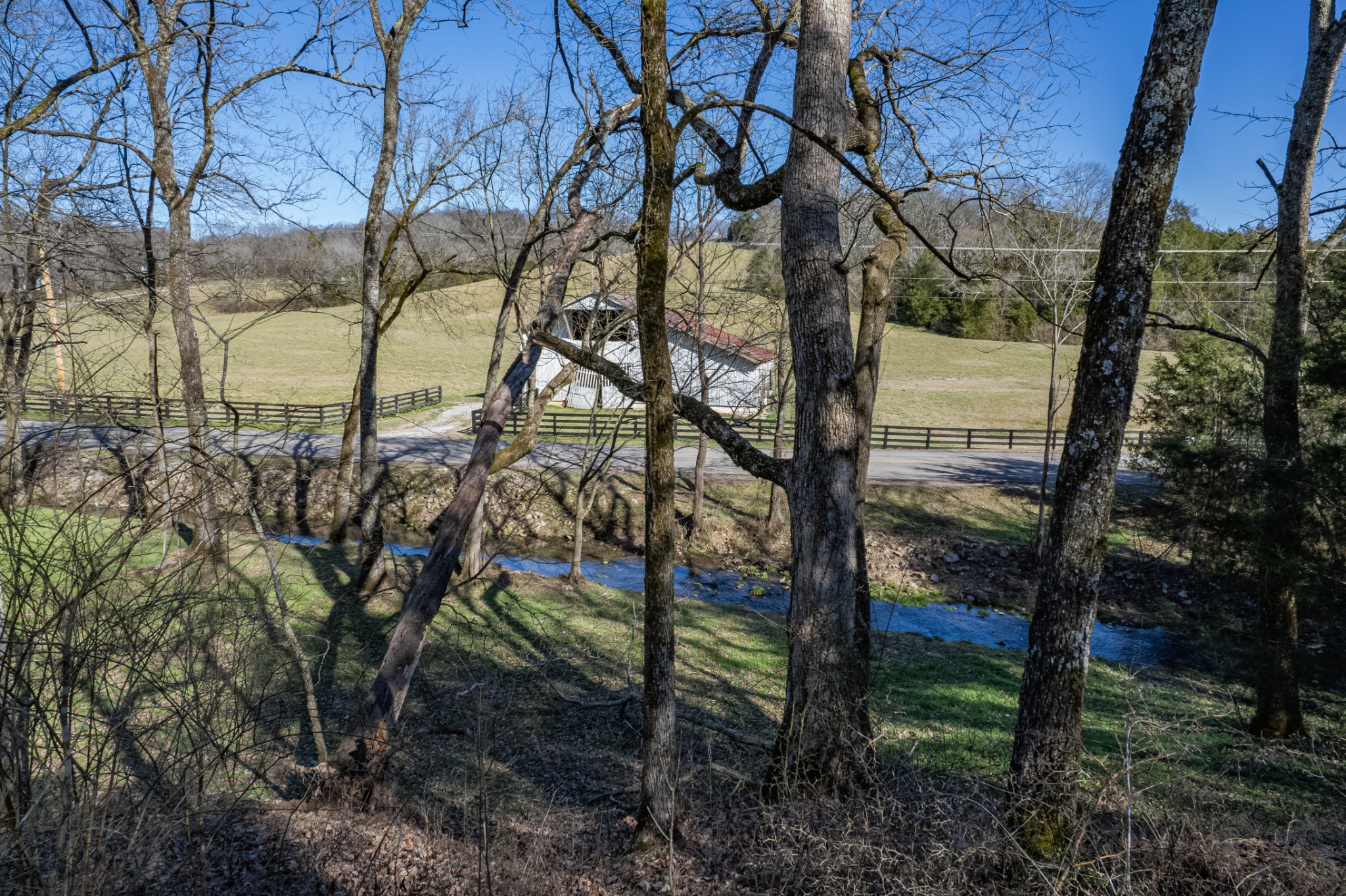 11 Gaskill Branch Road Santa Fe, TN 38482 - Photo 19 of 88