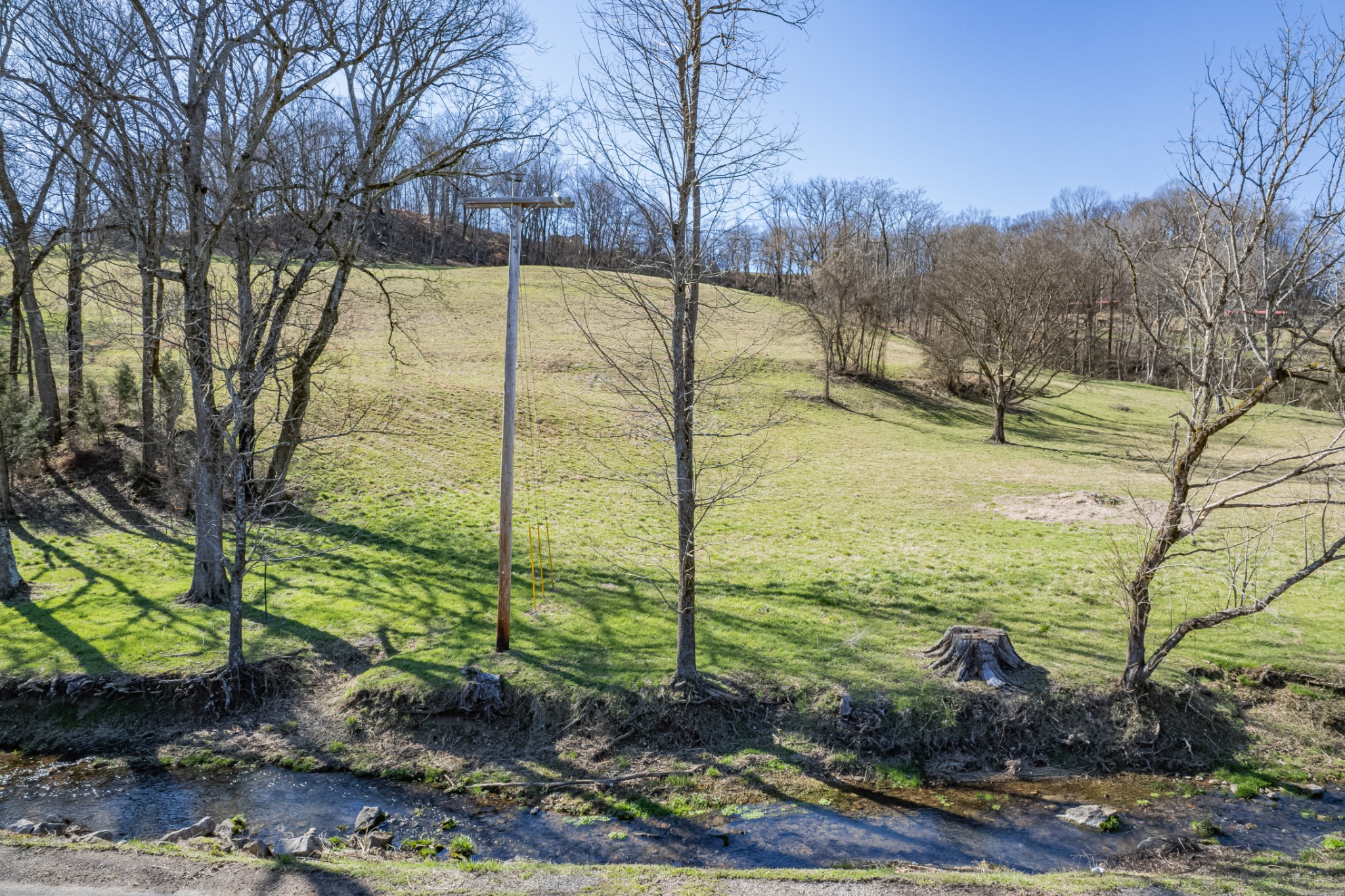 11 Gaskill Branch Road Santa Fe, TN 38482 - Photo 2 of 88
