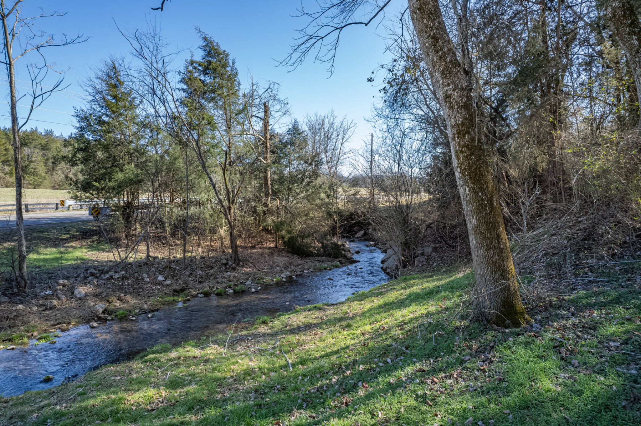 11 Gaskill Branch Road Santa Fe, TN 38482 - Photo 22 of 88