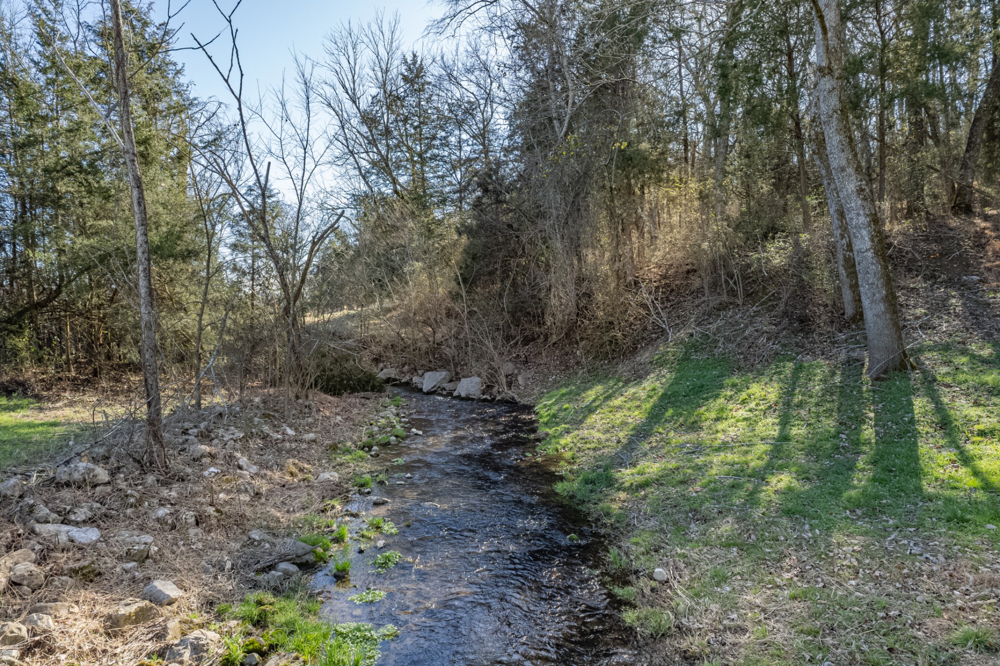 11 Gaskill Branch Road Santa Fe, TN 38482 - Photo 23 of 88
