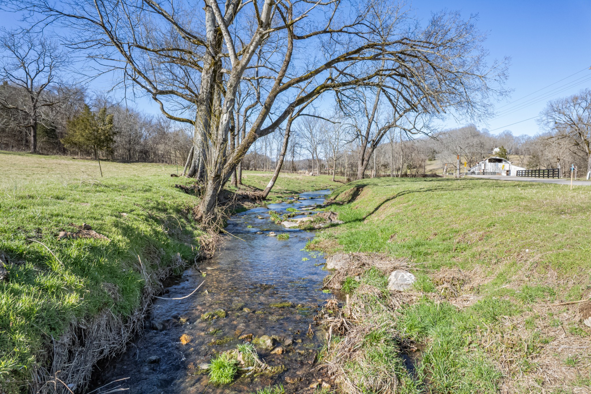 11 Gaskill Branch Road Santa Fe, TN 38482 - Photo 30 of 88