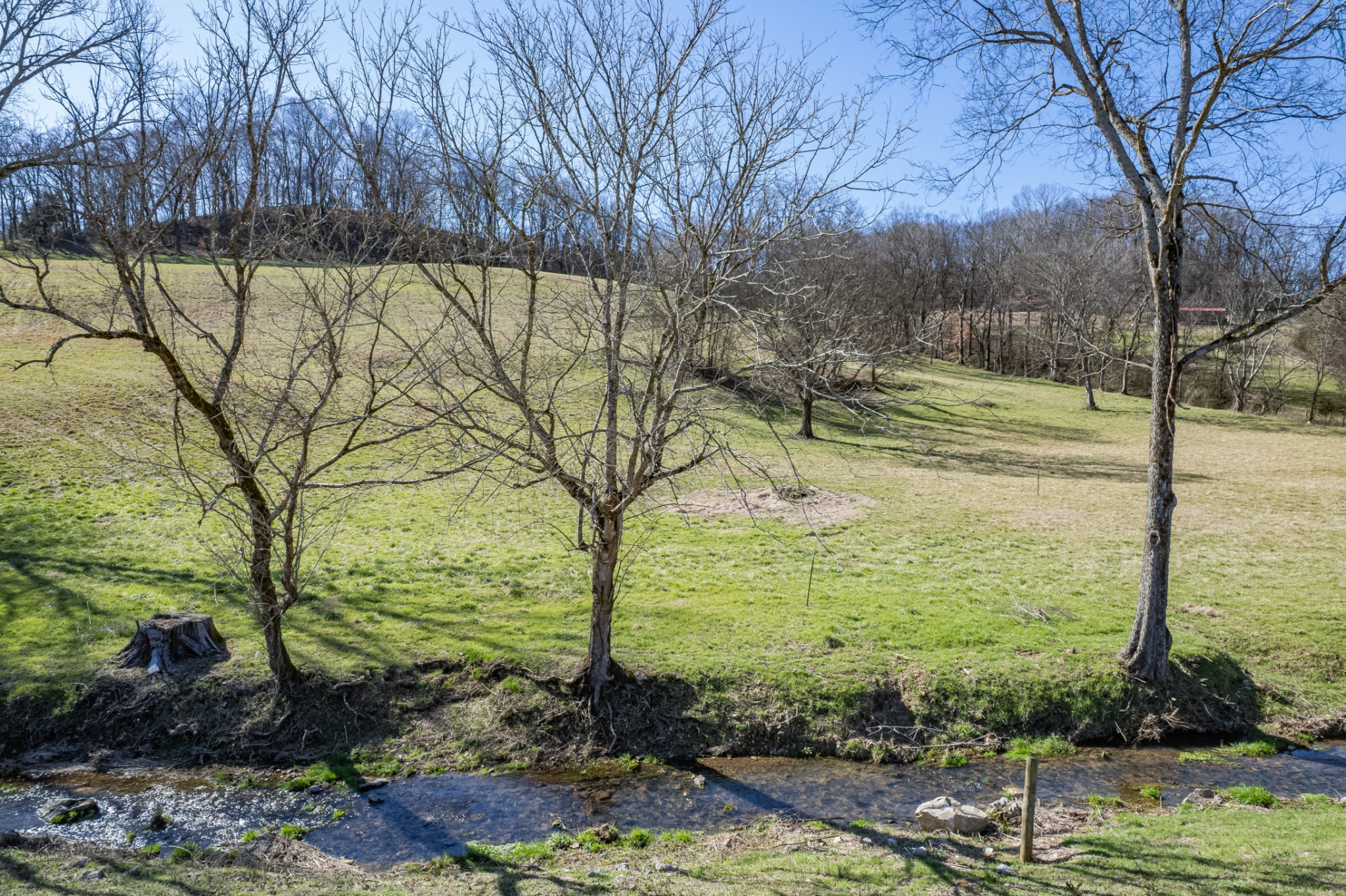 11 Gaskill Branch Road Santa Fe, TN 38482 - Photo 3 of 88