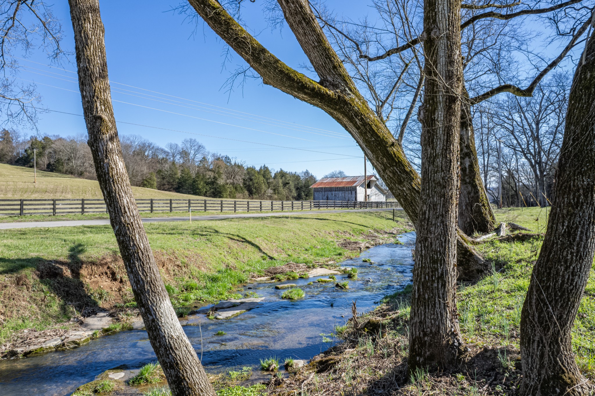11 Gaskill Branch Road Santa Fe, TN 38482 - Photo 35 of 88