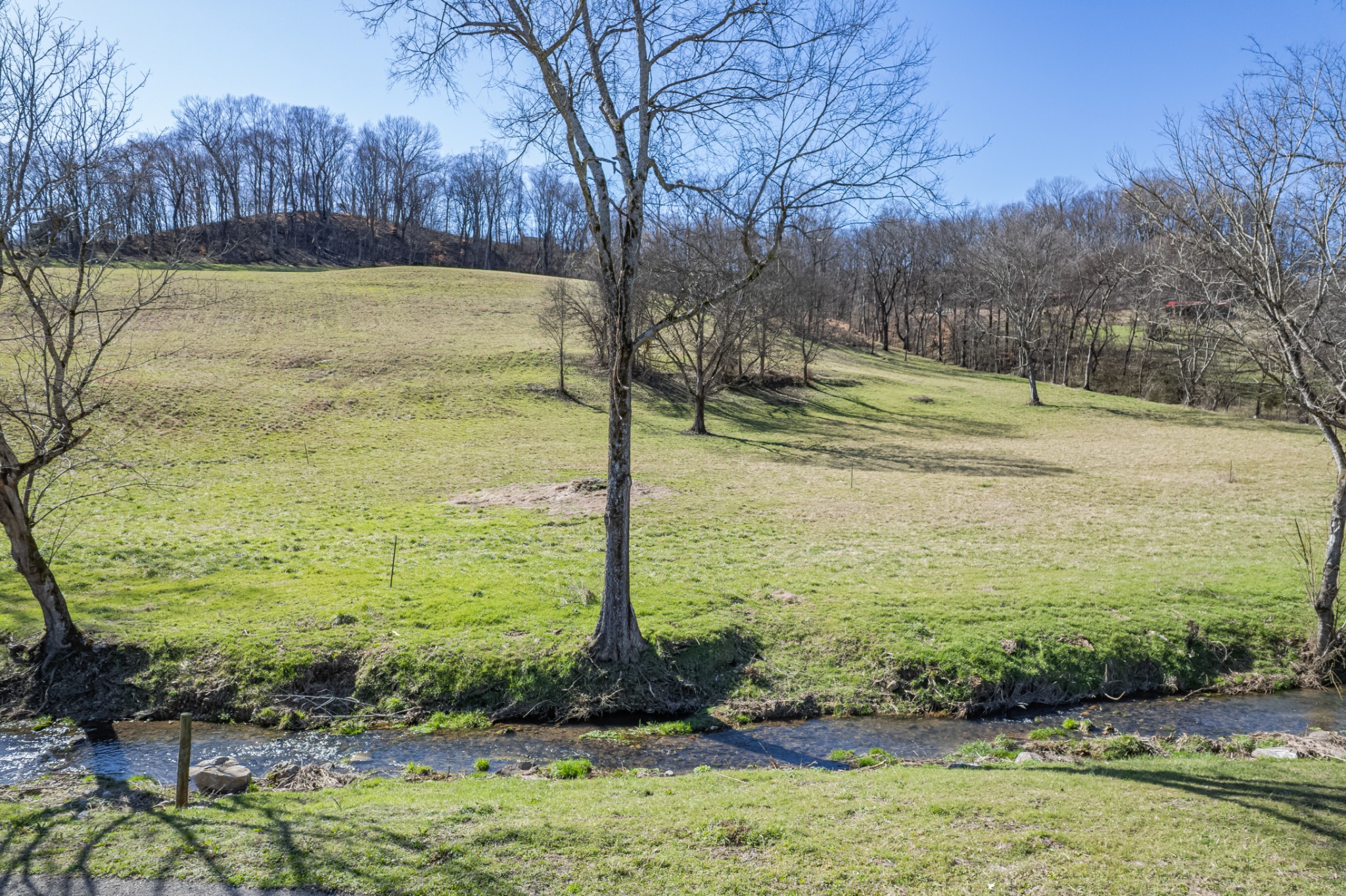 11 Gaskill Branch Road Santa Fe, TN 38482 - Photo 4 of 88