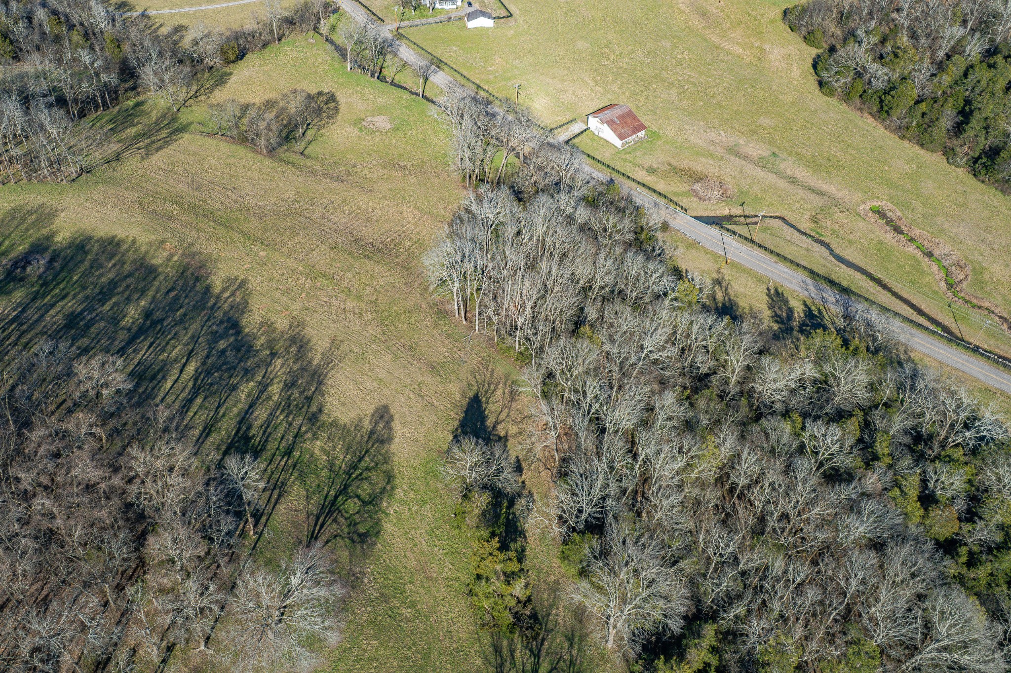 11 Gaskill Branch Road Santa Fe, TN 38482 - Photo 48 of 88