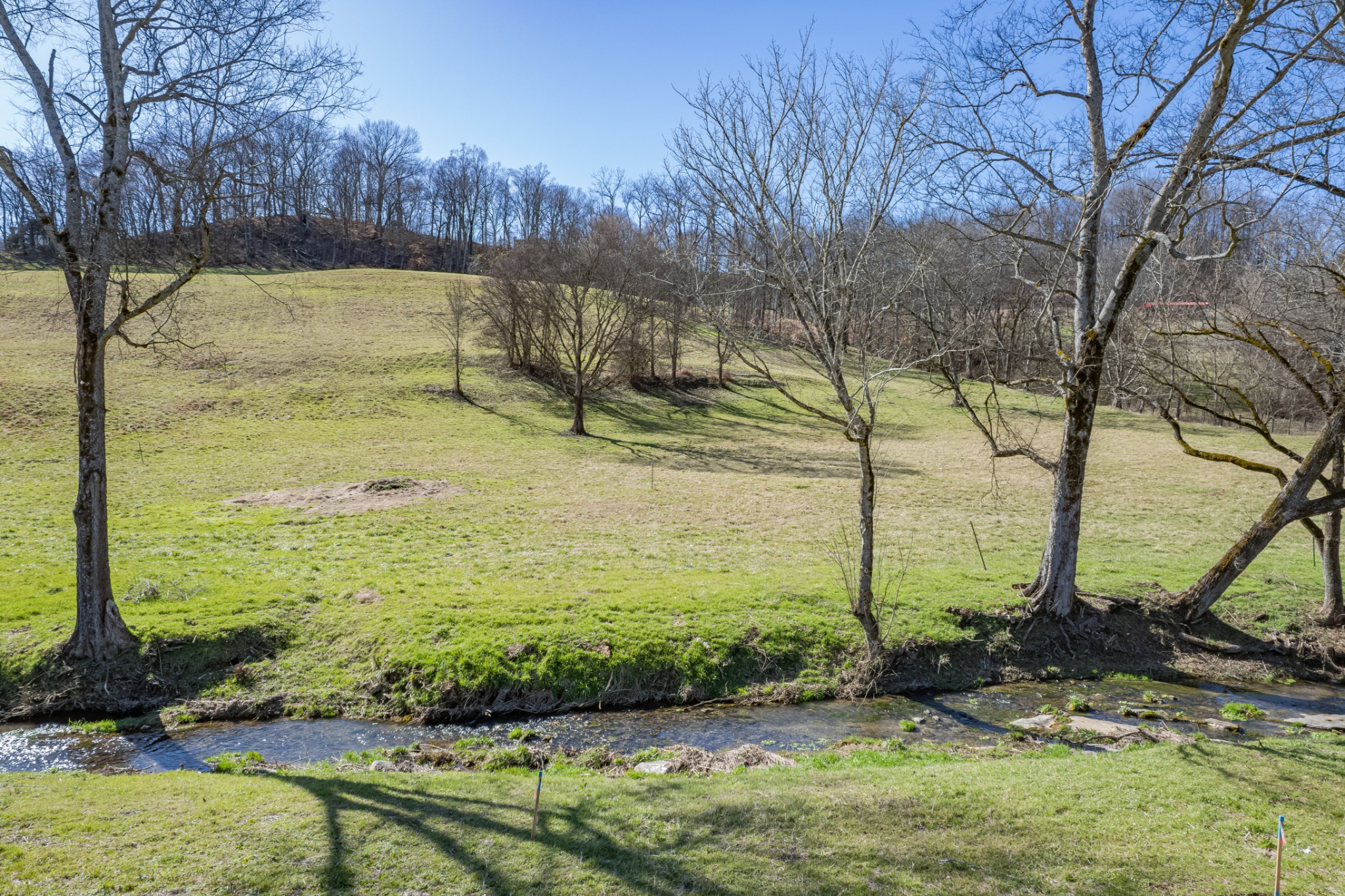 11 Gaskill Branch Road Santa Fe, TN 38482 - Photo 5 of 88