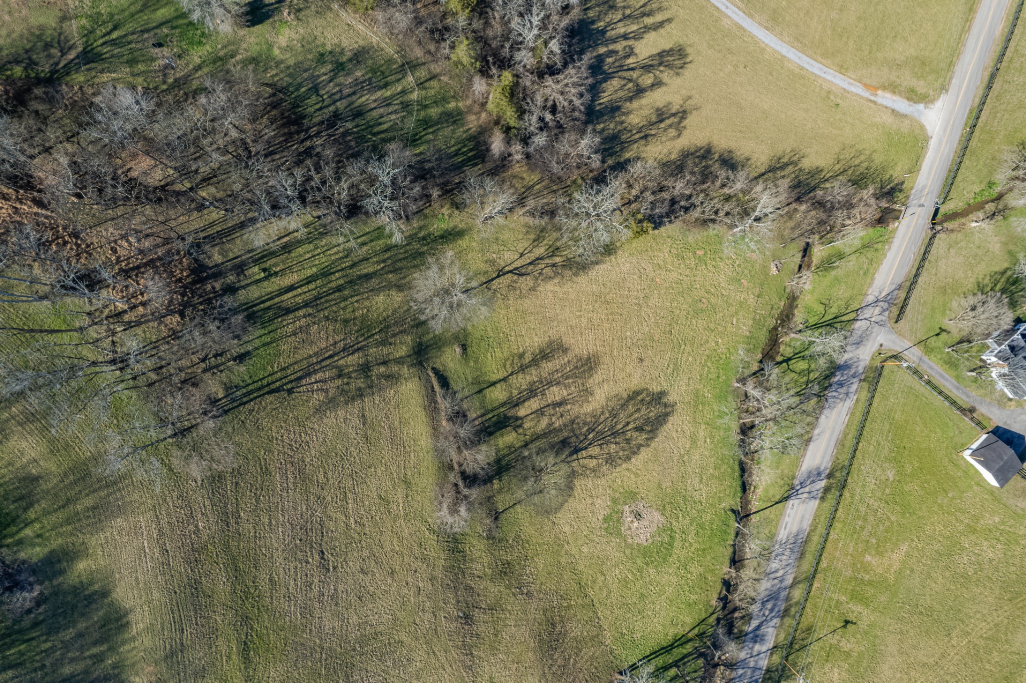 11 Gaskill Branch Road Santa Fe, TN 38482 - Photo 56 of 88